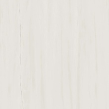 Atlas Concorde Italy Marvel Stone A204 Bianco Dolomite porcelain tile 120x120 cm, Italy - photo 1 - photo 1