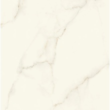 Atlas Concorde Italy Marvel X AFVJ Calacatta Apuano Silk gres porcellanato 120x120 cm, Italia, effetto marmo - foto 1 - foto 1