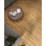 Atlas Concorde Italy Exence 20x120, porcelanato não esmaltado, Itália, árvore - foto de interior 10
