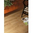 Atlas Concorde Italy Exence 20x120, porcelanato não esmaltado, Itália, árvore - foto de interior 7