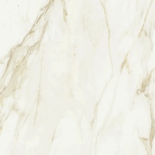 Baldocer Adaggio С000467469 Adaggio Gold Pulido 120*120 keramisk granitt 120x120 cm, Spania, andre marmortyper - foto 1 - foto 1