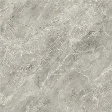 Baldocer Balmoral С000435998 Balmoral Grey 60*60 keramisk granitt 60x60 cm, Spania, andre marmortyper - foto 1 - foto 1