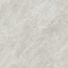 Baldocer Balmoral С000436003 Balmoral Moon Natural 60*60 keramisk granitt 60x60 cm, Spania, andre marmortyper - foto 1 - foto 1