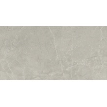 Baldocer Bayona С000482015 Bayona Silver Pulido 60*120 keramisk granitt 60x120 cm, Spania, andre marmortyper - foto 1 - foto 1