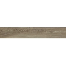 Baldocer Belfast С000435066 Belfast Walnut 20*120 keramisk granitt 20x120 cm, Spania, trelook - foto 1 - foto 1