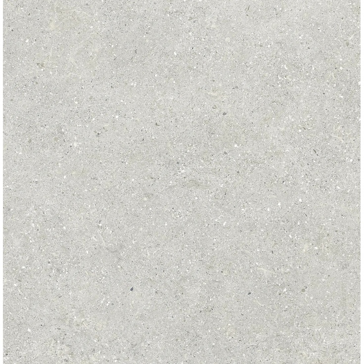 Baldocer Brunswich С000444143 Brunswich Ceniza 60*60 porcelain tile 60x60 cm, Spain, other types of stone - photo 1 Baldocer Brunswich С000444143 Brunswich Ceniza 60*60 porcelain tile 60x60 cm, Spain, other types of stone - photo 1