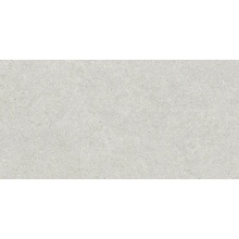 Baldocer Brunswich С000444144 Brunswich Ceniza 80*160 keramisk granitt 80x160 cm, Spania, andre typer av stein - foto 1 - foto 1