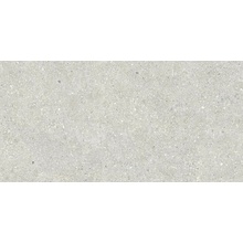 Baldocer Brunswich С000444142 Brunswich Ceniza 60*120 keramisk granitt 60x120 cm, Spania, andre typer av stein - foto 1 - foto 1