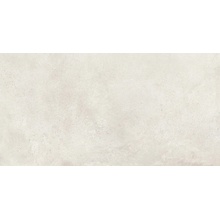 Baldocer Symphony С000564341 Symphony Ash 60*120 azulejo de parede 60x120 cm, Espanha - foto 1 - foto 1