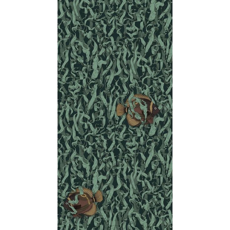 Bardelli Aquatic Creatures ACSE12F Seaweed-Floor gres porcelánový 60x120 cm, Itálie - fotografie 1 Bardelli Aquatic Creatures ACSE12F Seaweed-Floor gres porcelánový 60x120 cm, Itálie - fotografie 1