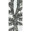 Bisazza Decori 10 С000415596 Jardin Gris F Mosaic 129,1x290,5 cm, Italy - photo 1 Bisazza Decori 10 С000415596 Jardin Gris F Mosaic 129,1x290,5 cm, Italy - photo 1