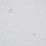 Bisazza Decori 10 С000415644 Stars White Mosaïque 64,7x64,7 cm, Italie - photo 1 Bisazza Decori 10 С000415644 Stars White Mosaïque 64,7x64,7 cm, Italie - photo 1
