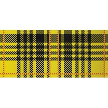 Bisazza Decori 10 06001850VL Albert Yellow Mosaico 129,1x290,5 cm, Itália - foto 1 - foto 1