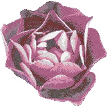 Bisazza Decori 20 06001102VL Rosa Rosa Mosaico 338x345 cm, Itália - foto 1 - foto 1