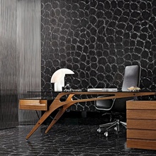 Bisazza Decori Opus Romano lasi, Italia, nahka - sisustuskuva 1 - kuva 3