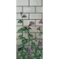 Bisazza Decori Tecnica Artistica С000393737 Calystegia A Mozaika 129,1x290,5 cm, Itálie - fotografie 1