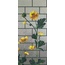 Bisazza Decori Tecnica Artistica С000393783 Ranunculus D Mozaik 129,1x290,5 cm, Italien - foto 1 Bisazza Decori Tecnica Artistica С000393783 Ranunculus D Mozaik 129,1x290,5 cm, Italien - foto 1