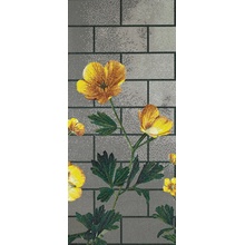 Bisazza Decori Tecnica Artistica С000393782 Ranunculus C Mozaika 129,1x290,5 cm, Itálie - fotografie 1 - foto 1