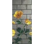 Bisazza Decori Tecnica Artistica С000393782 Ranunculus C Mozaika 129,1x290,5 cm, Itálie - fotografie 1 Bisazza Decori Tecnica Artistica С000393782 Ranunculus C Mozaika 129,1x290,5 cm, Itálie - fotografie 1