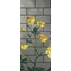 Bisazza Decori Tecnica Artistica С000393781 Ranunculus B Mozaika 129,1x290,5 cm, Itálie - fotografie 1 Bisazza Decori Tecnica Artistica С000393781 Ranunculus B Mozaika 129,1x290,5 cm, Itálie - fotografie 1