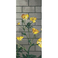 Bisazza Decori Tecnica Artistica С000393781 Ranunculus B Mozaika 129,1x290,5 cm, Itálie - fotografie 1 - foto 1