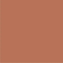 Bisazza I Colori С000281021 Ruggine_Q_20*20 Gulvflis 20x20 cm, Italia - foto 1 - foto 1