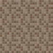 Bisazza Miscele Opus Romano С000406641 Domitilla 12 Mozaikk 29,3x29,3 cm, Italia - foto 1 - foto 1