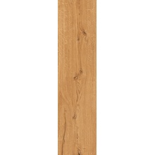 Bottega Feelwood С000579475 B71026_FeelwoodCognacRet30*120 keramisch graniet 30x120 cm, Italië, hout - foto 1 - foto 1