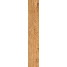 Bottega Feelwood С000579481 B71032_FeelwoodCognacRet20*120 keramisch graniet 20x120 cm, Italië, hout - foto 1 - foto 1