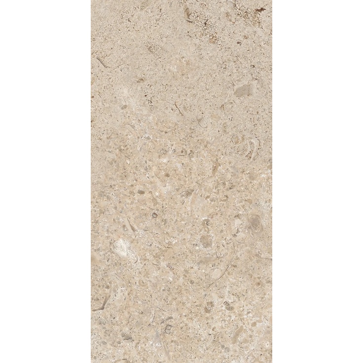 Bottega Lithoteke С000628892 B71637_LithotekeLimestoneRet30*60 porcelain tile 30x60 cm, Italy, limestone - photo 1 Bottega Lithoteke С000628892 B71637_LithotekeLimestoneRet30*60 porcelain tile 30x60 cm, Italy, limestone - photo 1