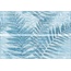 Brennero Bloomy С000552088 FELA_Felce Blu 25*75 Panel 25x75 cm, Italien - foto 1