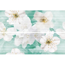Brennero Bloomy С000552087 JASM_Jasmine 50*75 Panneau 50x75 cm, Italie - photo 1 - photo 1
