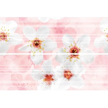 Brennero Bloomy С000552086 SAKU_Fiori di Sakura 50*75 Panneau 50x75 cm, Italie - photo 1 - photo 1