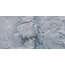 Brennero Jewel С000522198 J12B_JewelBlueLevRet60*120 Feinsteinzeug 60x120 cm, Italien, onyx - Foto 1 Brennero Jewel С000522198 J12B_JewelBlueLevRet60*120 Feinsteinzeug 60x120 cm, Italien, onyx - Foto 1