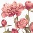 Brennero Ricordi С000223259 BLOX_BloomingBordeauxDecoro20*20 Dekor 20x20 cm, Itálie - fotografie 1 Brennero Ricordi С000223259 BLOX_BloomingBordeauxDecoro20*20 Dekor 20x20 cm, Itálie - fotografie 1