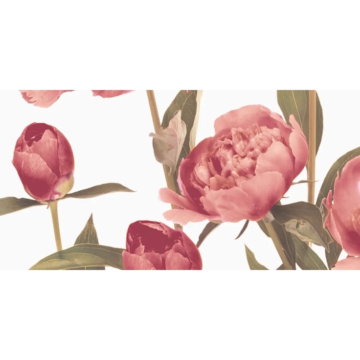 Brennero Ricordi LIBLX Listello Blooming Bordeaux Misti 9,5*20 Border 9,5x20 cm, Italy - photo 1