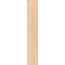 Capri Bottega С000612069 M2BOT01260R_BottegaAbete20X120Rt porcelain tile 20x120 cm, Italy, wood look - photo 1 Capri Bottega С000612069 M2BOT01260R_BottegaAbete20X120Rt porcelain tile 20x120 cm, Italy, wood look - photo 1