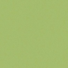 Casalgrande Padana Architecture 3996412 Acid Green Gloss keramisch graniet 90x90 cm, Italië, steen  - foto 1 - foto 1