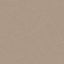 Casalgrande Padana Architecture 4990057 Beige keramisch graniet 90x90 cm, Italië, steen  - foto 1 - foto 1