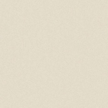 Casalgrande Padana Architecture 4995753 Light Ivory Antibacterial keramisch graniet 90x90 cm, Italië, steen  - foto 1 - foto 1
