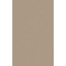 Casalgrande Padana Architecture 4040057 Beige Vloertegel 45x90 cm, Italië, steen  - foto 1 - foto 1