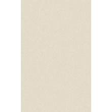 Casalgrande Padana Architecture 4045753 Light Ivory Antibacterial Vloertegel 45x90 cm, Italië, steen  - foto 1 - foto 1