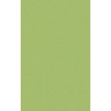 Casalgrande Padana Architecture 3040012 Acid Green Vloertegel 45x90 cm, Italië, steen  - foto 1 - foto 1