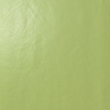 Casalgrande Padana Architecture 3956412 Acid Green Gloss keramisch graniet 60x60 cm, Italië, steen  - foto 1 - foto 1