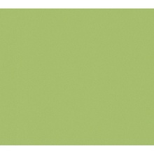 Casalgrande Padana Architecture 3957012 Acid Green Levigato 10.00 keramisch graniet 60x60 cm, Italië, steen  - foto 1 - foto 1