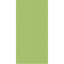 Casalgrande Padana Architecture 3797012 Acid Green Levigato 9.4mm keramisch graniet 30x60 cm, Italië, geen - foto 1 - foto 1