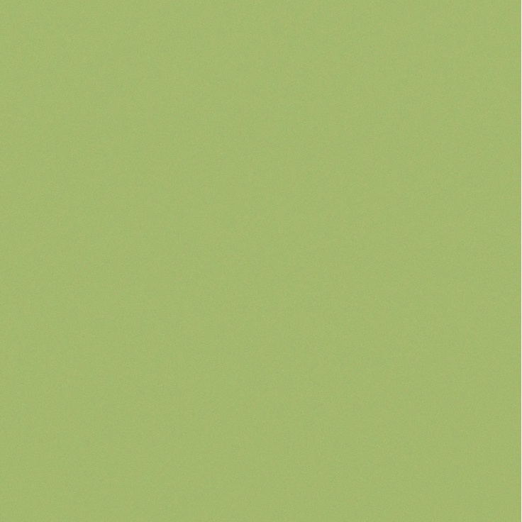 Casalgrande Padana Architecture С000324007 3950012_Arch.AcidGreen Feinsteinzeug 60x60 cm, Italien, beton - Foto 1 Casalgrande Padana Architecture С000324007 3950012_Arch.AcidGreen Feinsteinzeug 60x60 cm, Italien, beton - Foto 1