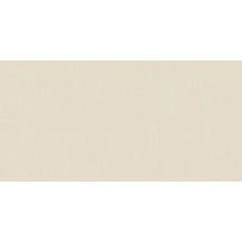 Casalgrande Padana Architecture С000409603 4795753_Arch.LightIvoryAntibacterial posliinilaatta 30x60 cm, Italia, betonin alla - kuva 1 - kuva 1