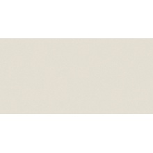 Casalgrande Padana Architecture С000328626 4040052_Arch.White posliinilaatta 45x90 cm, Italia, betonin alla - kuva 1 - kuva 1