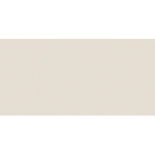 Casalgrande Padana Architecture 4140152 White Naturale 9,4mm keramisch graniet 60x120 cm, Italië - foto 1 - foto 1